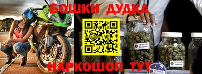 дживик Славгород