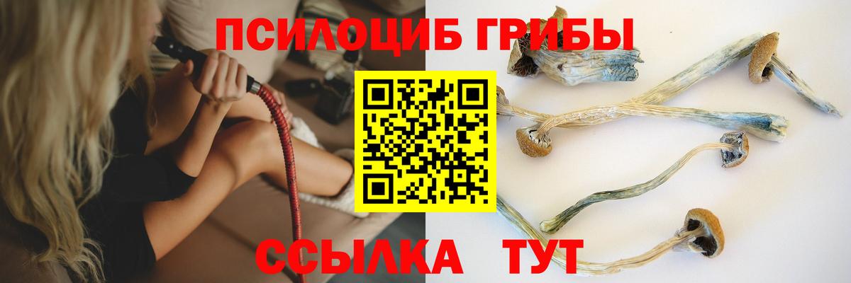 Галлюциногенные грибы Magic Shrooms Баксан